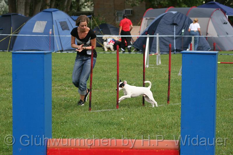 gluehwuermchen08 094 (72).jpg